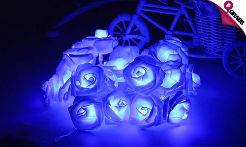 Rose LED String Lights!
